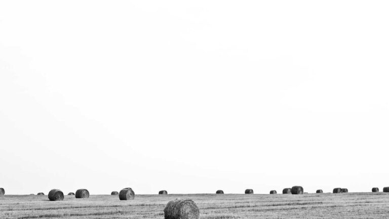 How To Use Https 99Exch Com M Deposit Link Securely?