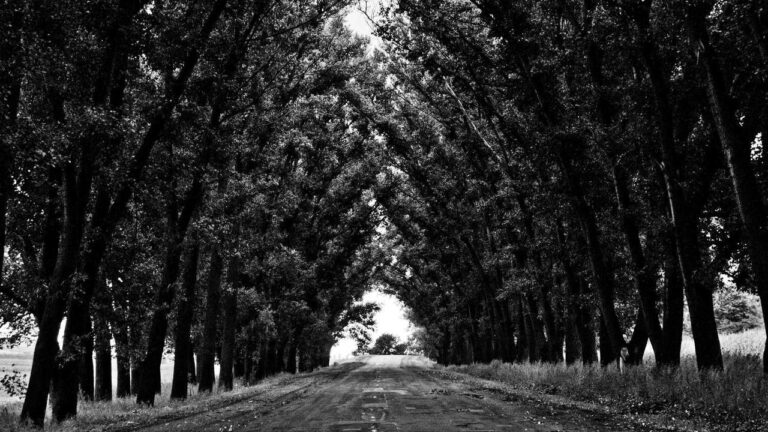 What Does The Latest 11Xplay Review 2025 Say?